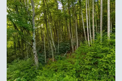 Tbd Wasatch Drive, Boone, NC 28607 - Photo 5