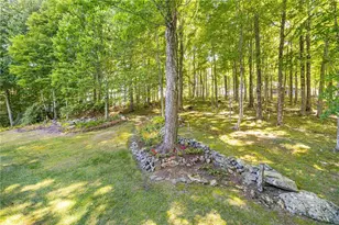 16 Panther Trl Ln, Elk Park, NC 28622 - Photo 43
