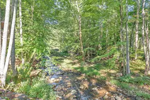 200 River Rd 2, Banner Elk, NC 28604 - Photo 21