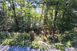 112 Upper Snowbird Trail, Beech Mountain, NC 28604 - Photo 1