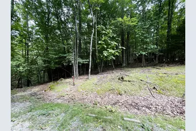 104 North Hickory Lane, Beech Mountain, NC 28604 - Photo 5