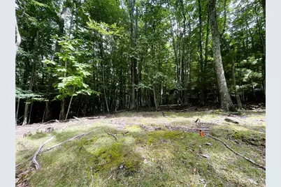 104 North Hickory Lane, Beech Mountain, NC 28604 - Photo 3