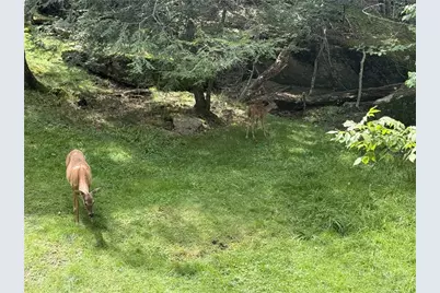 100 Lower Holiday Lane #C207, Beech Mountain, NC 28604 - Photo 37