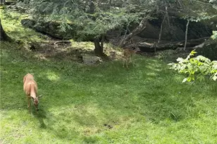 100 Lower Holiday Ln, Beech Mountain, NC 28604 - Photo 37