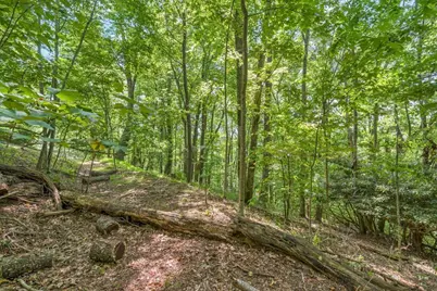 Lot 33 Saratoga, Boone, NC 28607 - Photo 19