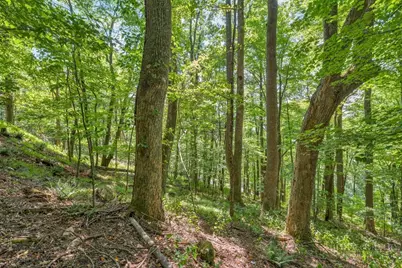 Lot 33 Saratoga, Boone, NC 28607 - Photo 23