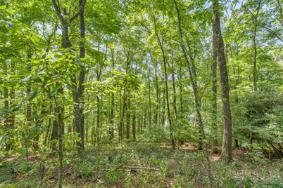 Lot 33 Saratoga, Boone, NC 28607 - Photo 17