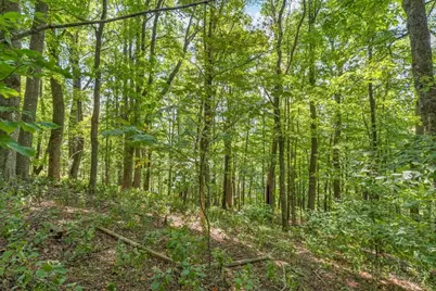 Lot 33 Saratoga, Boone, NC 28607 - Photo 21