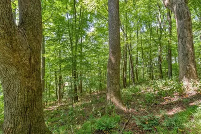 Lot 33 Saratoga, Boone, NC 28607 - Photo 25