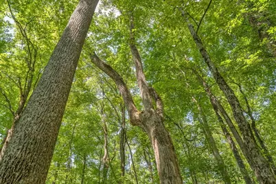Lot 33 Saratoga, Boone, NC 28607 - Photo 29