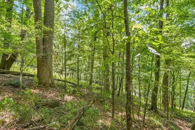Lot 33 Saratoga, Boone, NC 28607 - Photo 27