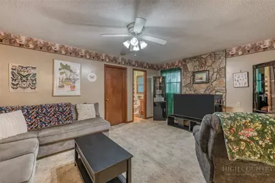 163 Elderberry Loop, Newland, NC 28657 - Photo 15