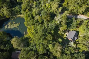 358 Green Cove Rd, Sugar Mountain, NC 28604 - Photo 29