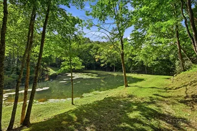 358 Green Cove Road, Sugar Mountain, NC 28604 - Photo 41
