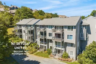 161 Skyleaf Dr, Sugar Mountain, NC 28604 - Photo 23
