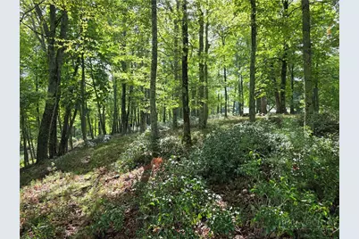 286 Roe Hunt, Laurel Springs, NC 28644 - Photo 41