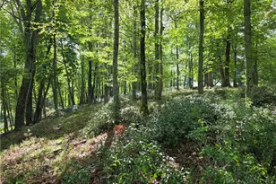 286 Roe Hunt, Laurel Springs, NC 28644 - Photo 41