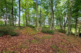 286 Roe Hunt, Laurel Springs, NC 28644 - Photo 35