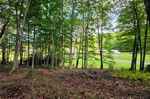 286 Roe Hunt, Laurel Springs, NC 28644 - Photo 43