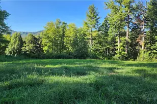 967 Barnardsville Hwy, Weaverville, NC 28787 - Photo 11