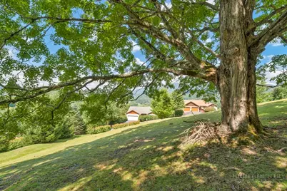 Lot 53 Supreme Golden Road, Banner Elk, NC 28604 - Photo 7