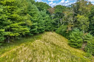 4908 Railroad Grade, Todd, NC 28684 - Photo 39