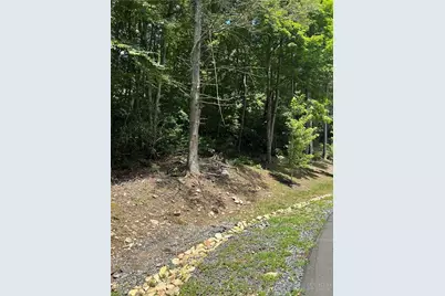 Lot 172 Wilderness Reserve Parkway, Deep Gap, NC 28618 - Photo 5