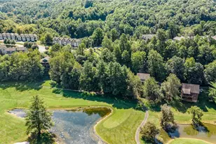194 Blue Spruce Trail, Vilas, NC 28692 - Photo 7