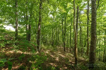 1303 Reynolds Parkway, Boone, NC 28607 - Photo 11