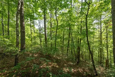 1303 Reynolds Parkway, Boone, NC 28607 - Photo 9
