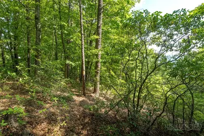 1303 Reynolds Parkway, Boone, NC 28607 - Photo 13