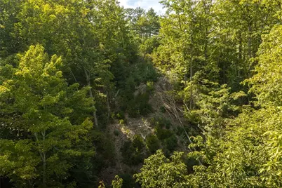 282 Ninebark Road, Boone, NC 28607 - Photo 15