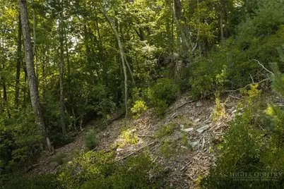 282 Ninebark Road, Boone, NC 28607 - Photo 13