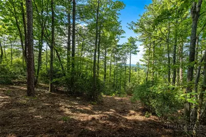 327 Lyreleaf Trail, Boone, NC 28607 - Photo 7