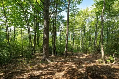 327 Lyreleaf Trail, Boone, NC 28607 - Photo 3