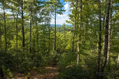 327 Lyreleaf Trail, Boone, NC 28607 - Photo 11