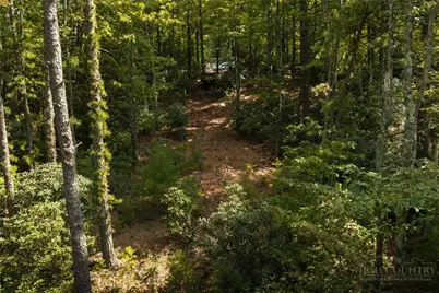 327 Lyreleaf Trail, Boone, NC 28607 - Photo 13
