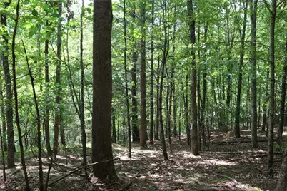 Lot 3 Venue Views Drive, Lansing, NC 28643 - Photo 11