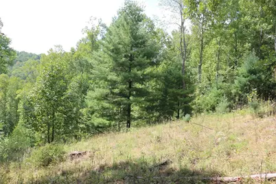 Lot 3 Venue Views Drive, Lansing, NC 28643 - Photo 13
