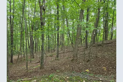 Lot 10 Townview Street, West Jefferson, NC 28694 - Photo 3