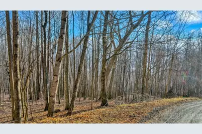 Lot 20 Townview Street, West Jefferson, NC 28694 - Photo 7