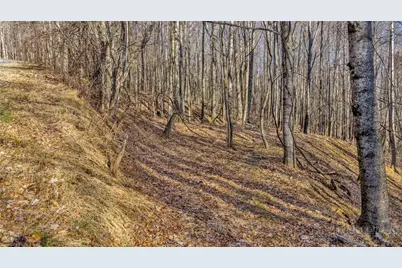 Lot 20 Townview Street, West Jefferson, NC 28694 - Photo 3