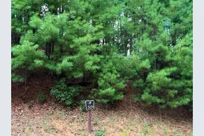 Lot 50 Brightwater Trail, West Jefferson, NC 28694 - Photo 3