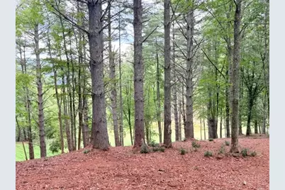 Lot 50 Brightwater Trail, West Jefferson, NC 28694 - Photo 9