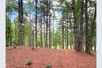 Lot 50 Brightwater Trail, West Jefferson, NC 28694 - Photo 13