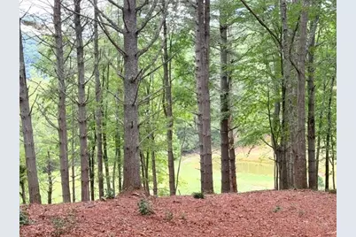 Lot 50 Brightwater Trail, West Jefferson, NC 28694 - Photo 5