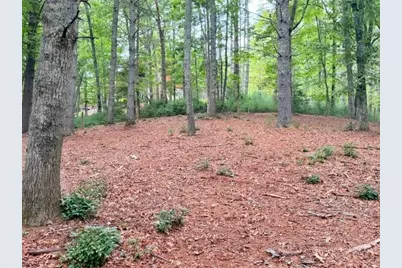 Lot 50 Brightwater Trail, West Jefferson, NC 28694 - Photo 7