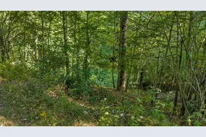 Tbd Lot 13 Parkway Pointe Drive, West Jefferson, NC 28694 - Photo 17