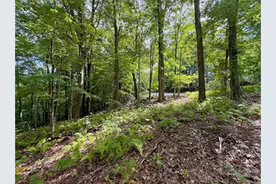 Tbd Galax Lane, Banner Elk, NC 28604 - Photo 7
