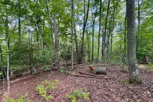 Tbd Galax Ln, Banner Elk, NC 28604 - Photo 1